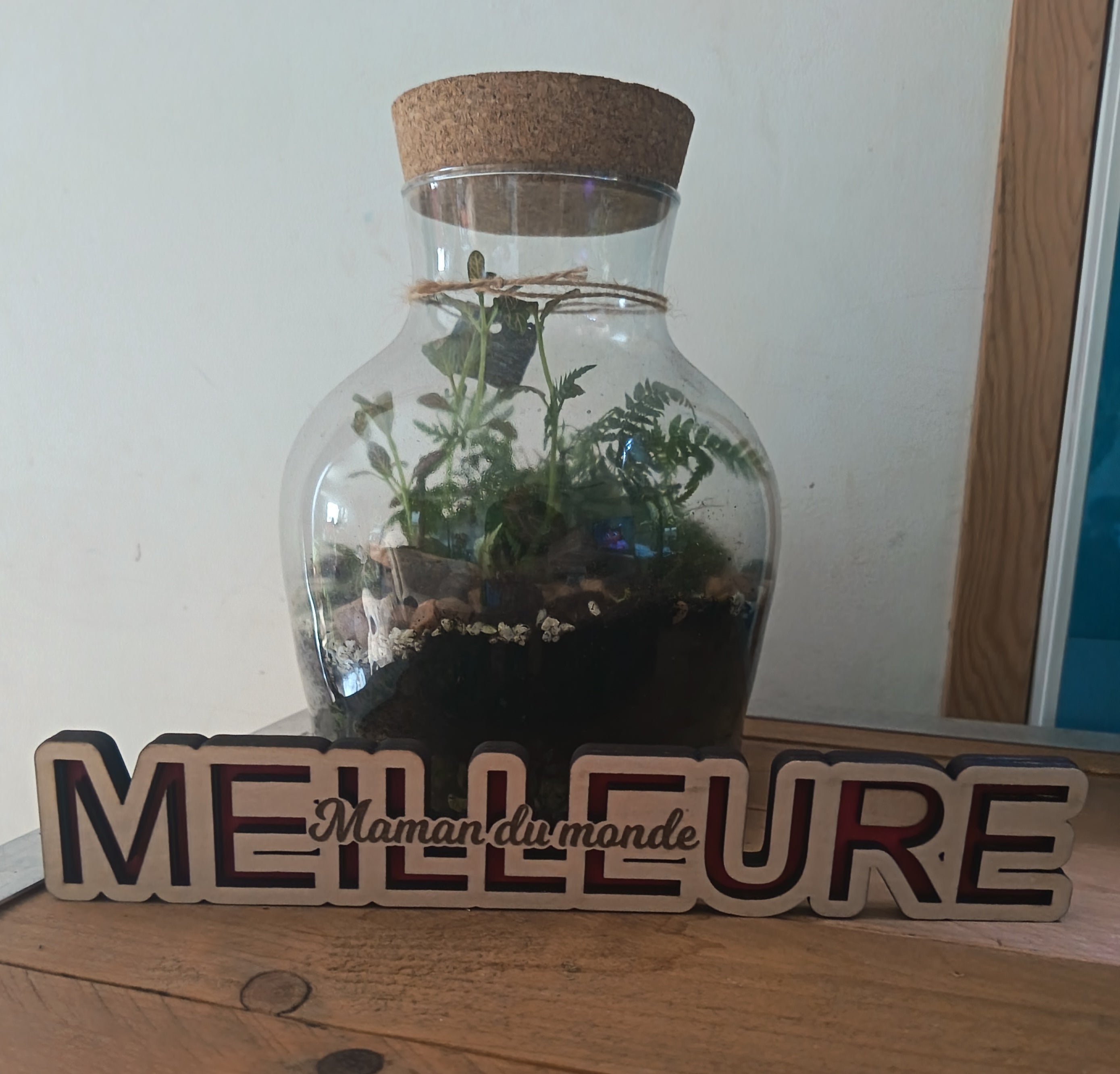 Décoration en bois " Meilleur Maman "